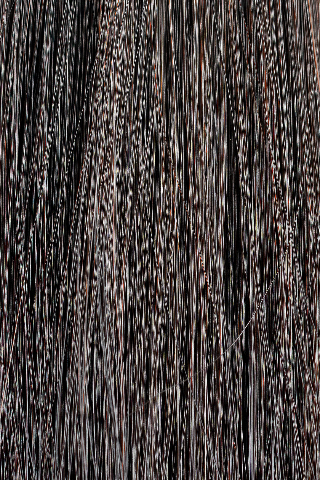 Luxury Extensions #2
