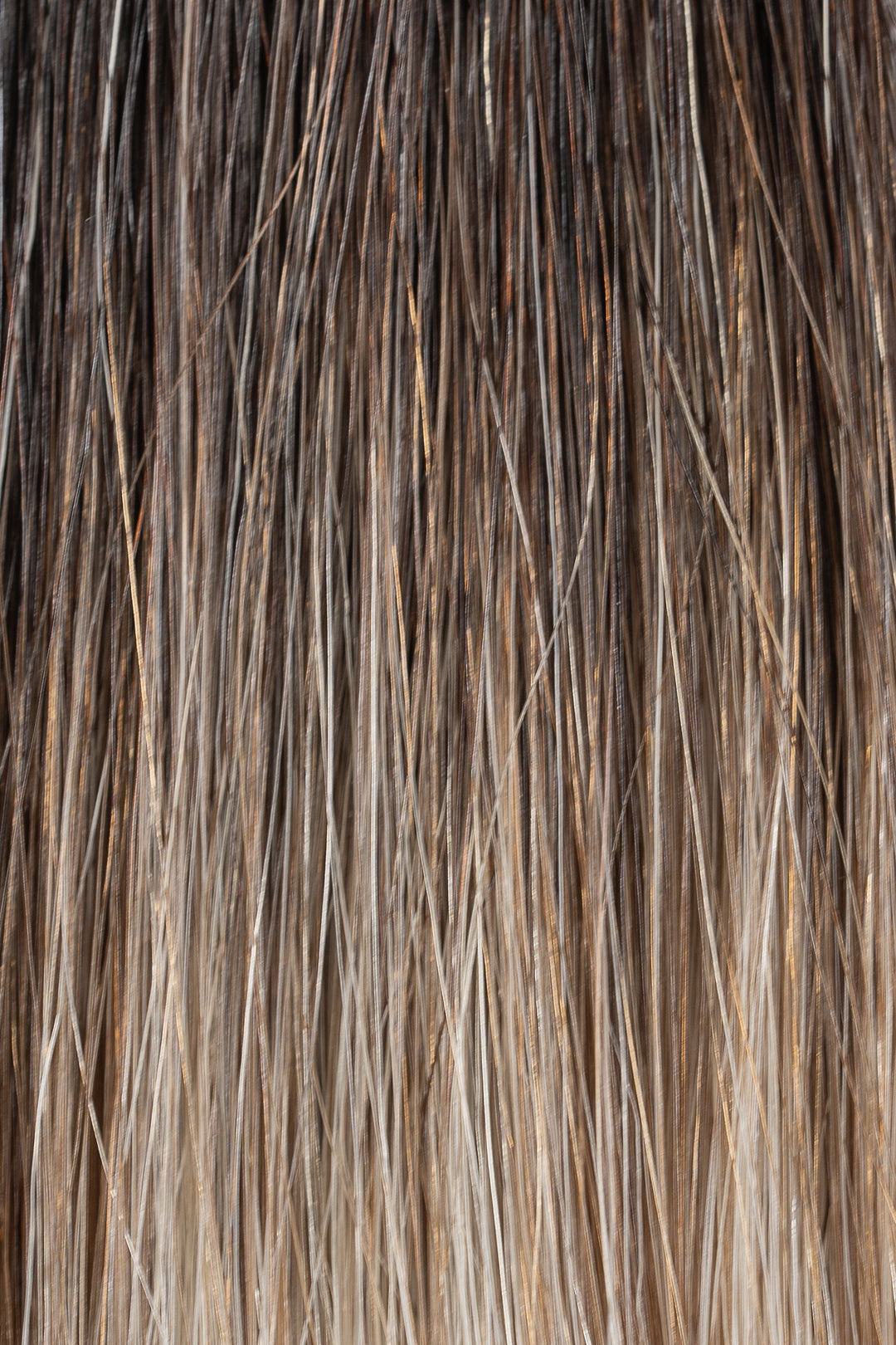 Luxury Extensions #4/8+24